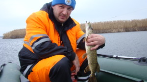 кедина гора 9