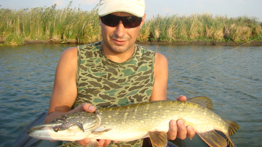 fishacademy_photo 003