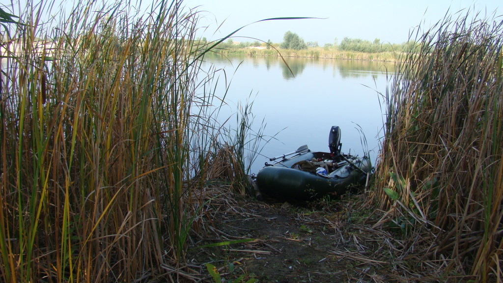 fishacademy_photo 042