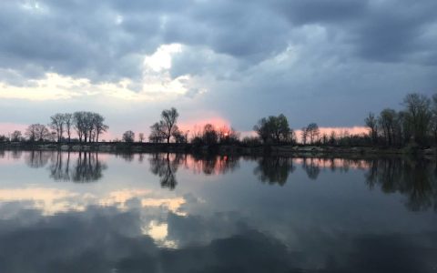 Весна. Плотва. Десна…