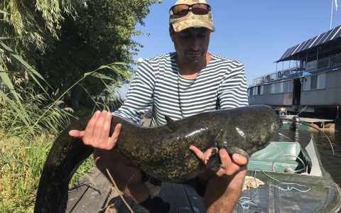 Осенние Сорокошичи 2018. В поисках сома…