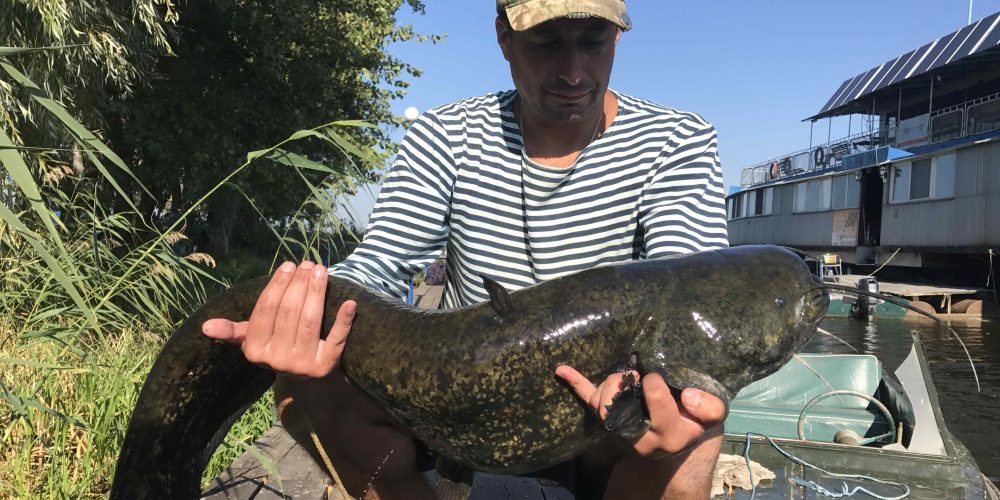 Осенние Сорокошичи 2018. В поисках сома…