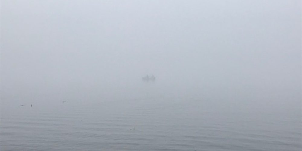 Осенний судак днепровских заливов