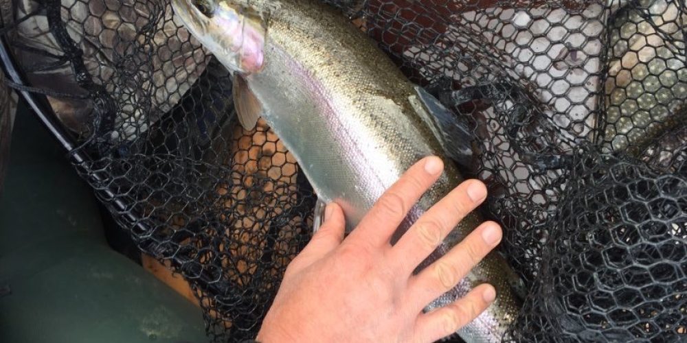 Рыбалка в Канаде. Провинция Saskatchevan