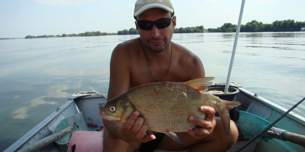 Лето, жара, ловим белую