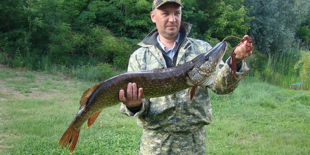 Открытие сезона 2017. Курьезная рыбалка и уловистая блесна