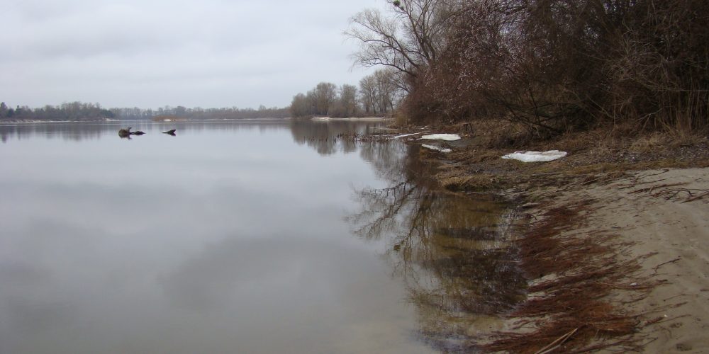 Десна просыпается…