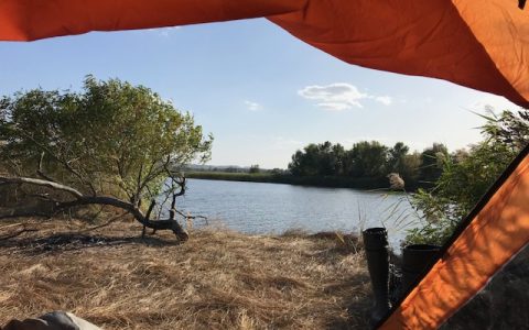 В плавнях Черкащины…осенние этюды