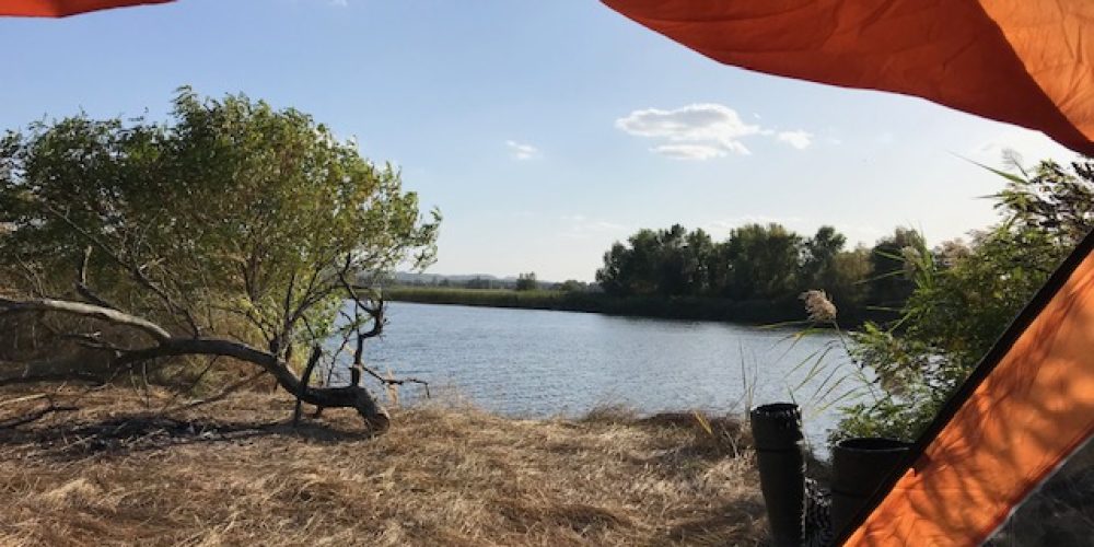 В плавнях Черкащины…осенние этюды