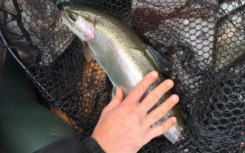 Рыбалка в Канаде. Провинция Saskatchevan