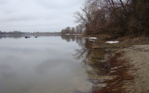 Десна просыпается…