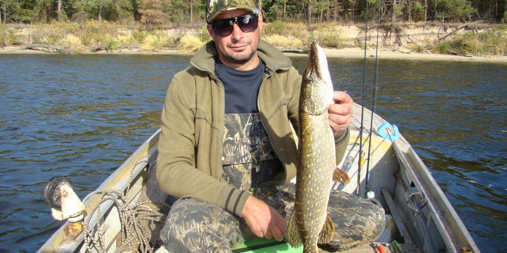 На каневских просторах…