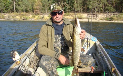 На каневских просторах…