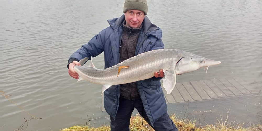 Чотири сезони SevenLakes